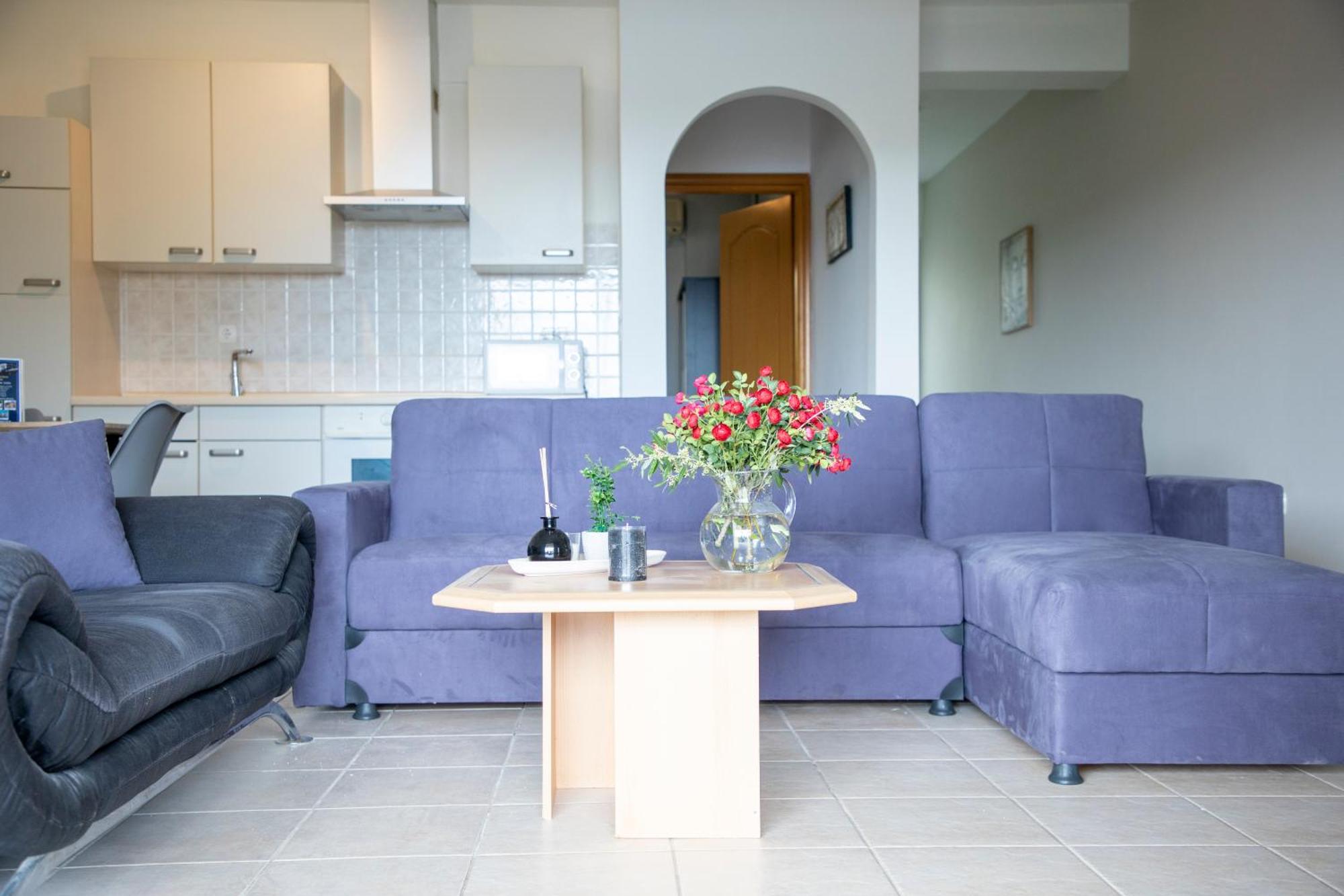 Anesis Apartments Agia Marina  외부 사진
